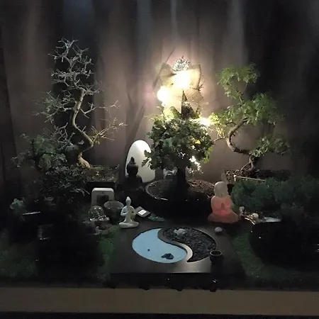Zen House *